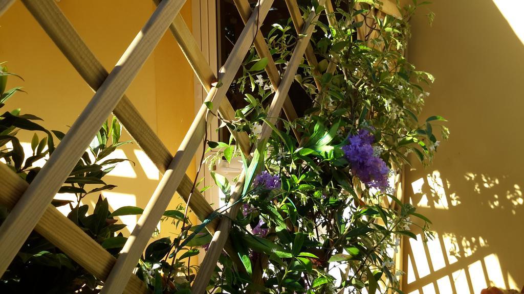 Casa Di Campagna Dal Pozzo Sorso Zimmer foto